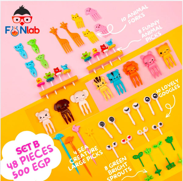 SET- B Lanuchbox accessories